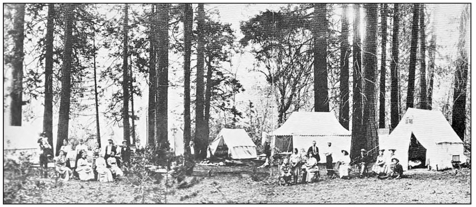 A crowd of well-dressed campers gather under tall trees in front of white tents.