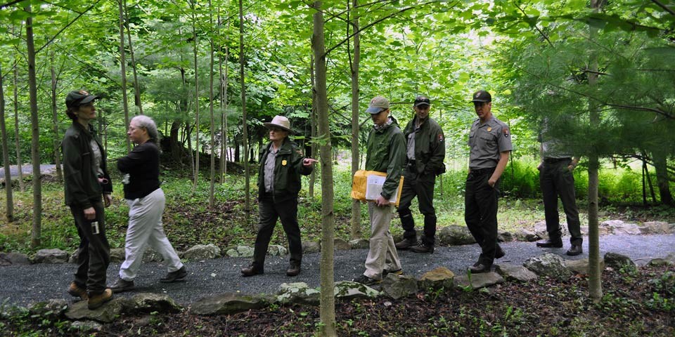 NPS staff walk along a stone-lined path through a forest of young trees