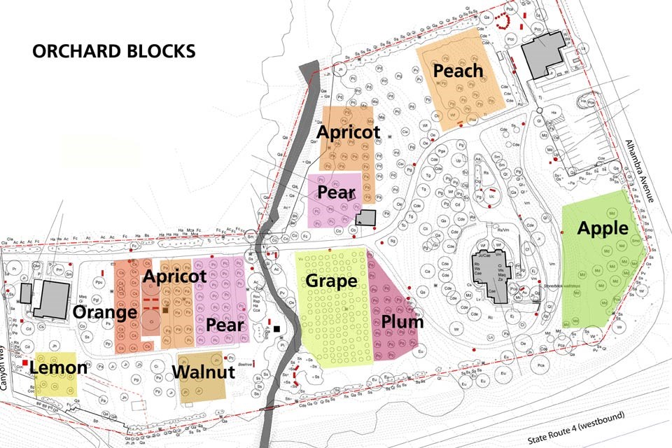A site plan uses colored areas to show the placement of orchards.