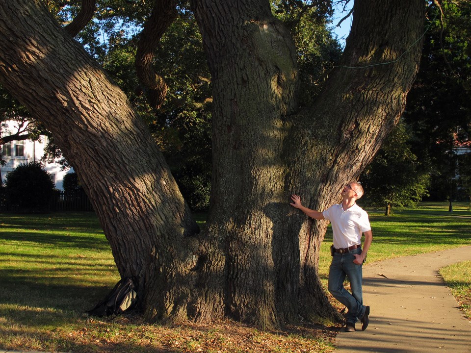 A man lays his right hand upon the trunk of a massive oak and looks up at its thick branches.