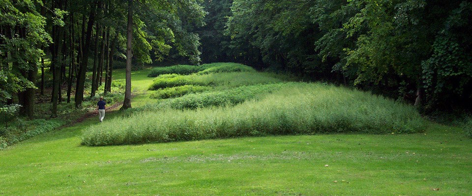 Marching Bear Mound Group A person walks beside leafy trees and grass covered earth mounds in a clearing