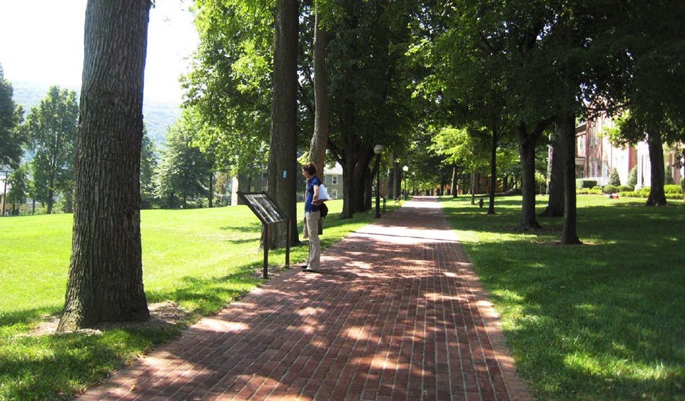 Contemporary view of the Long Walk at Storer College