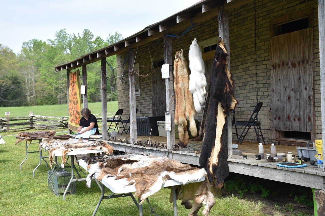 Animal hides are displayed on tables in front of the long wooden porch of a rural cabin