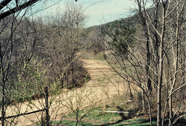 A dirt road curves through a rural landscape, framed by fencing and leafless trees