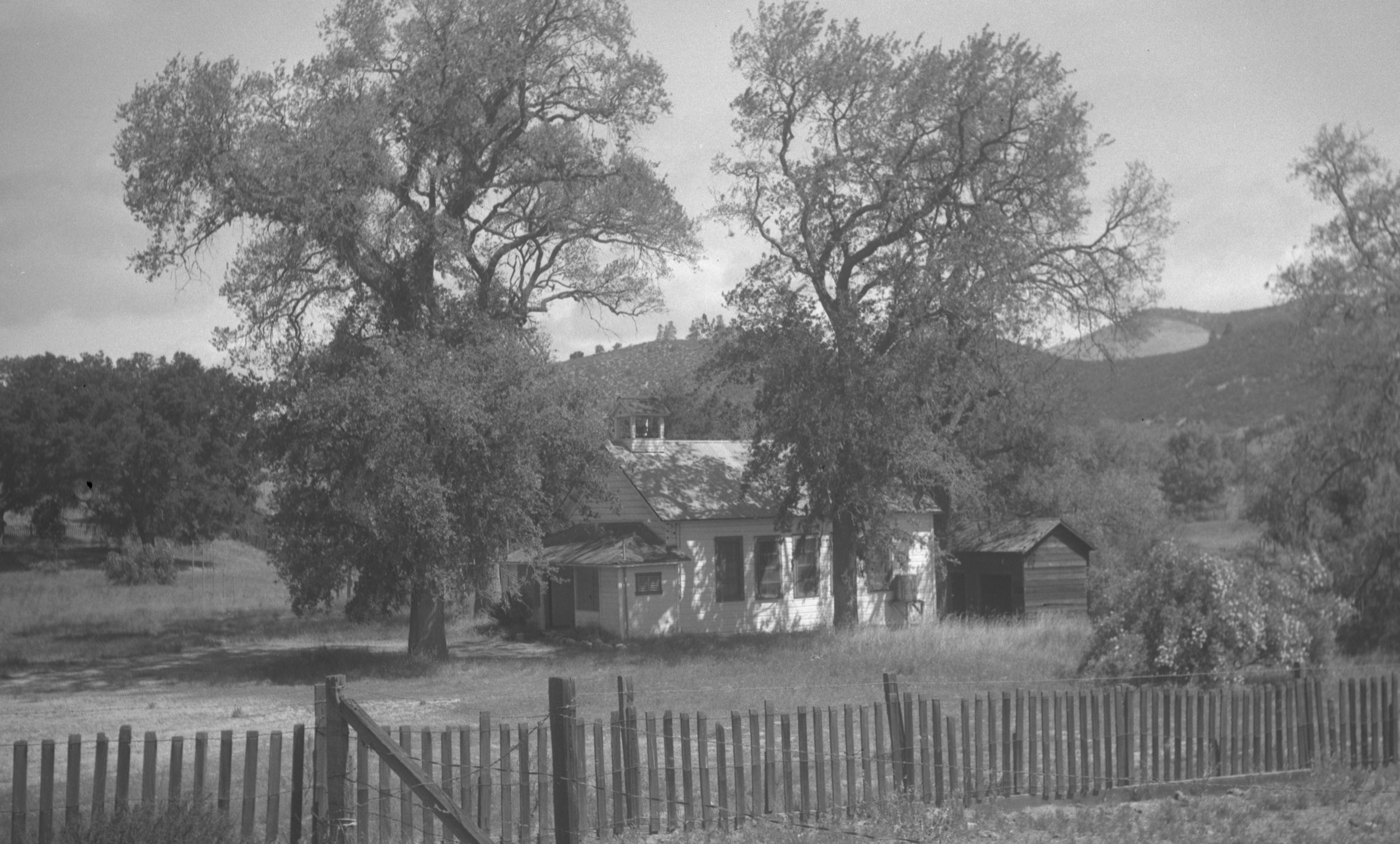 Leafy oak trees grow around a schoolhouse with white siding. A wooden fence surrounds the schoolyard