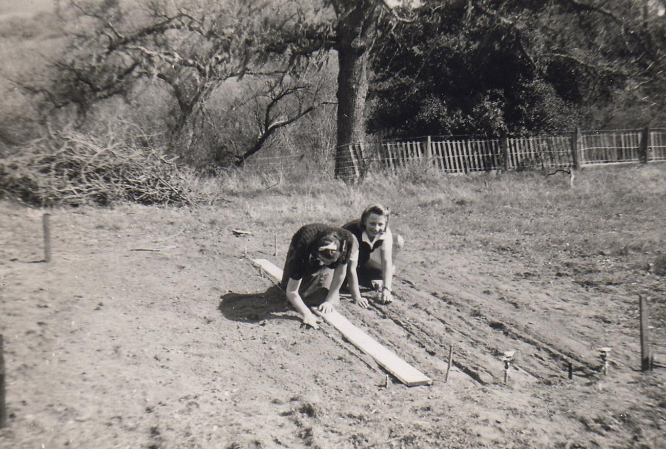 PINN Bear Valley School victory garden 1942 Two students use a wooden board to plant rows in a garden bed.