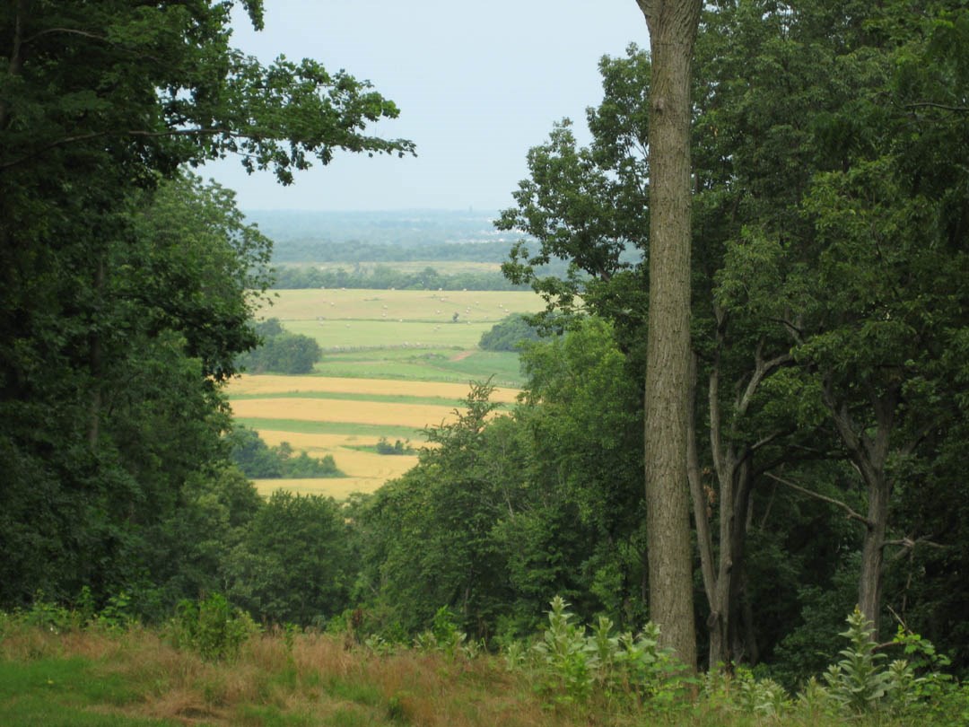 Agricultural fields are visible in the distance through a break in a row of trees.