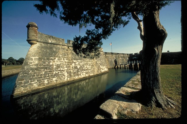 A large tree grows near a stone wall that forms the edge of a moat along the outside wall of a fort