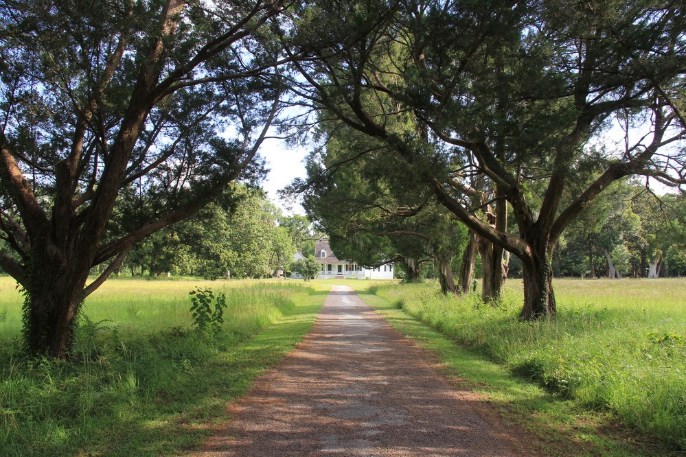 Tree-lined drive leads straight through a flat grassy field to a white house,