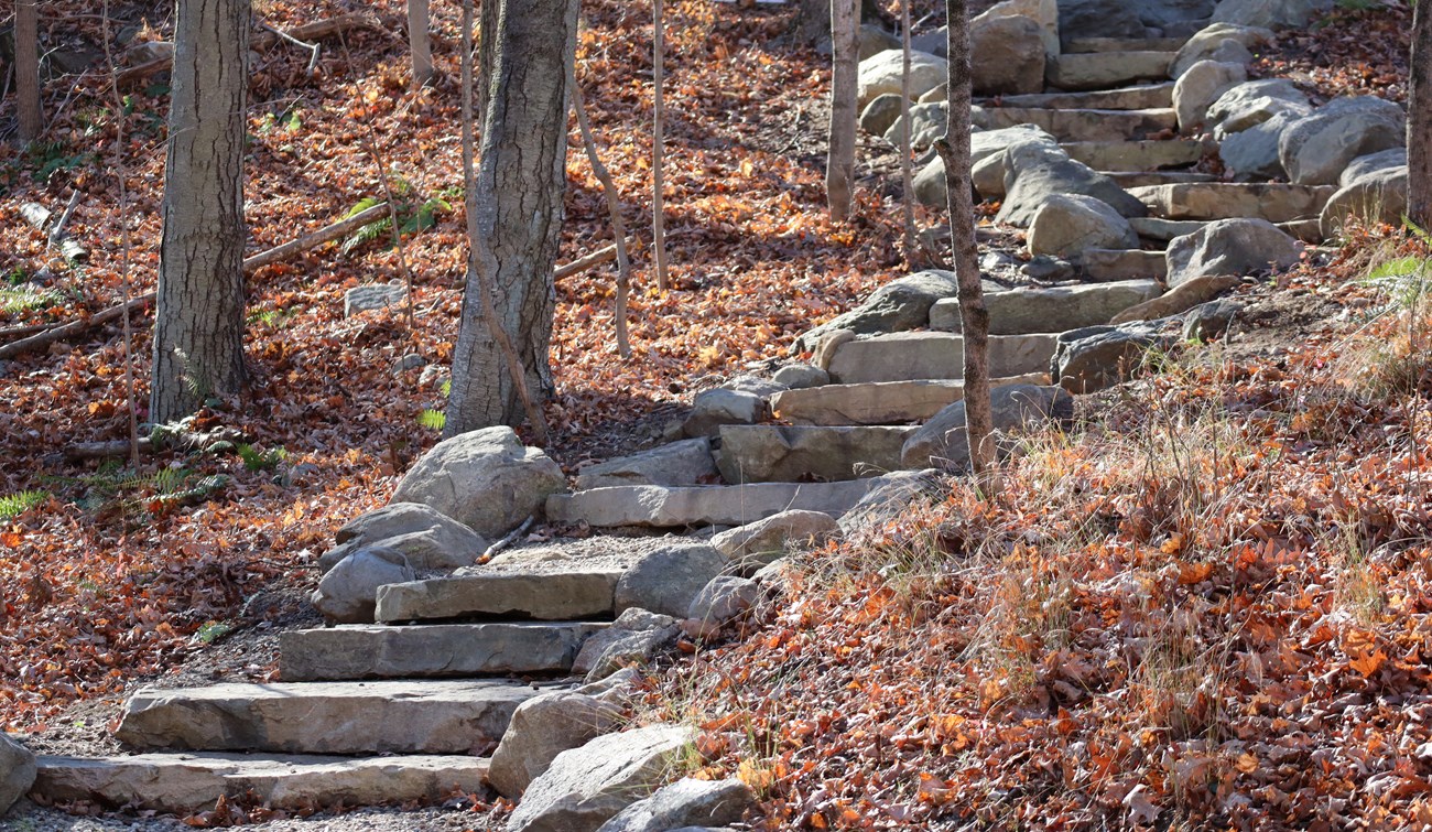 WEFA Causeway steps February 2025 A gently-curving set of stone steps with a rock border ascends a slope in a wooded area