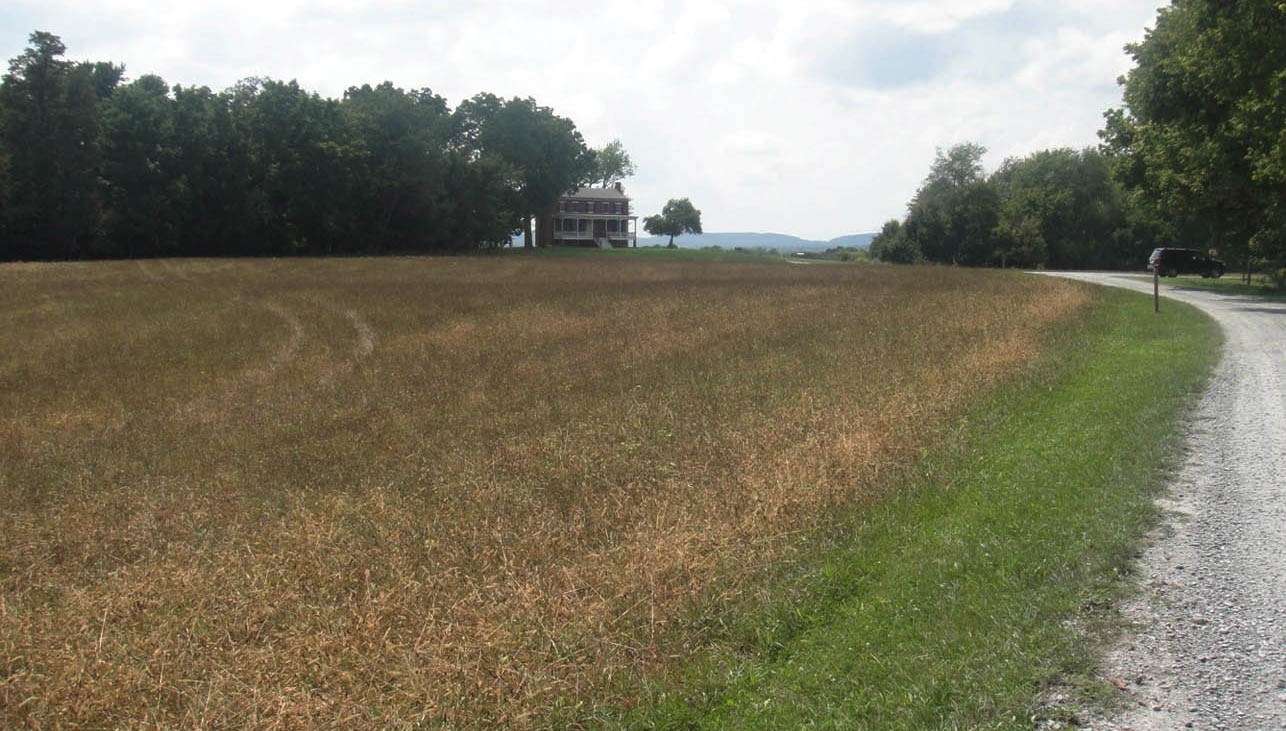 Worthington Farm Entry A house is visible on the horizon along a tree line, at the edge of a grassy field.