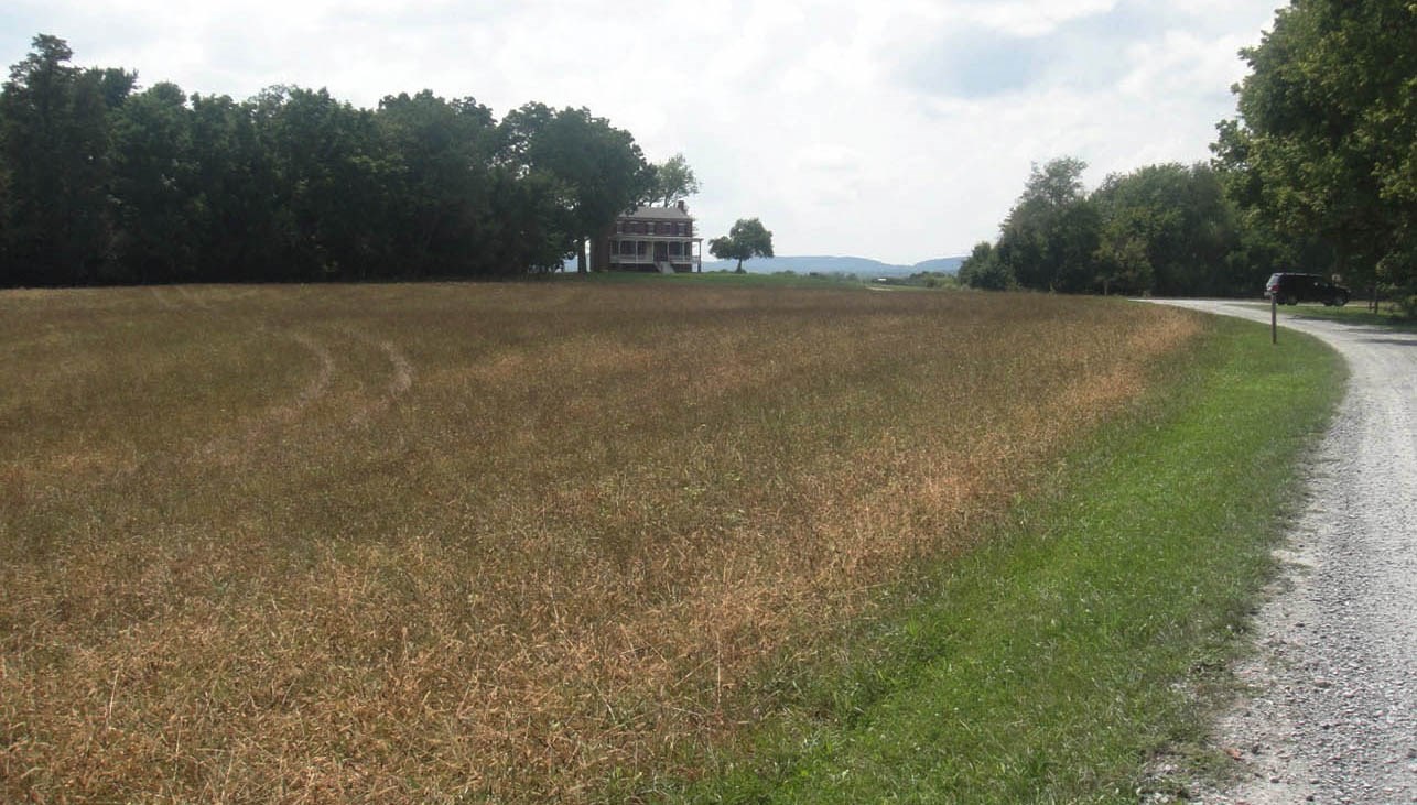 A house is visible on the horizon along a tree line, at the edge of a grassy field.