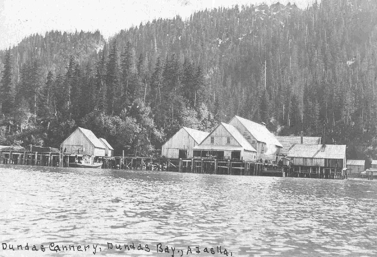 Historic photo of wooden buildings and piers along the coast of a steep, tree-covered hill