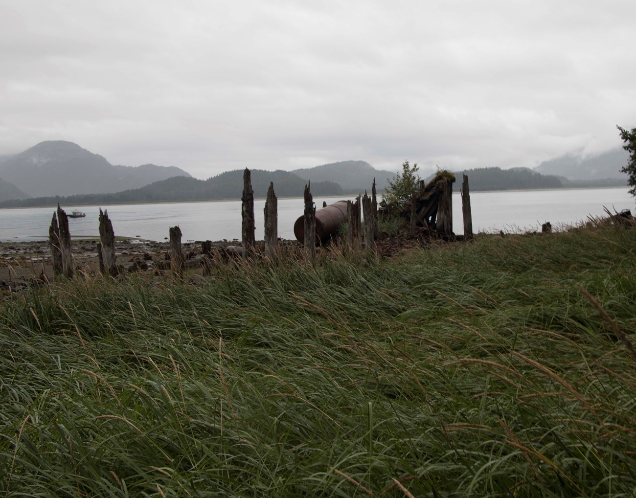 Weathered wooden piers stand in a row along a rocky shore, with long grass in the foreground and foggy mountains in the distance