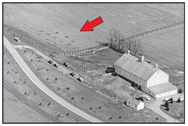 lt= Aerial of a farm landscape showing a newly established orchard in the upper left, and a tree-lined driveway, barn, and fencing.