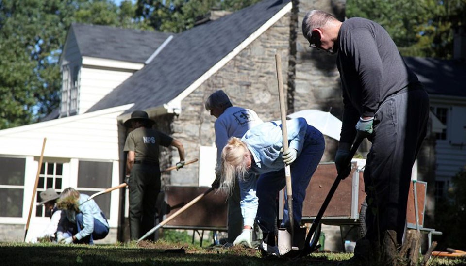 NPS staff and volunteers with tools and wheelbarrows dig in the ground near the Stone Cottage