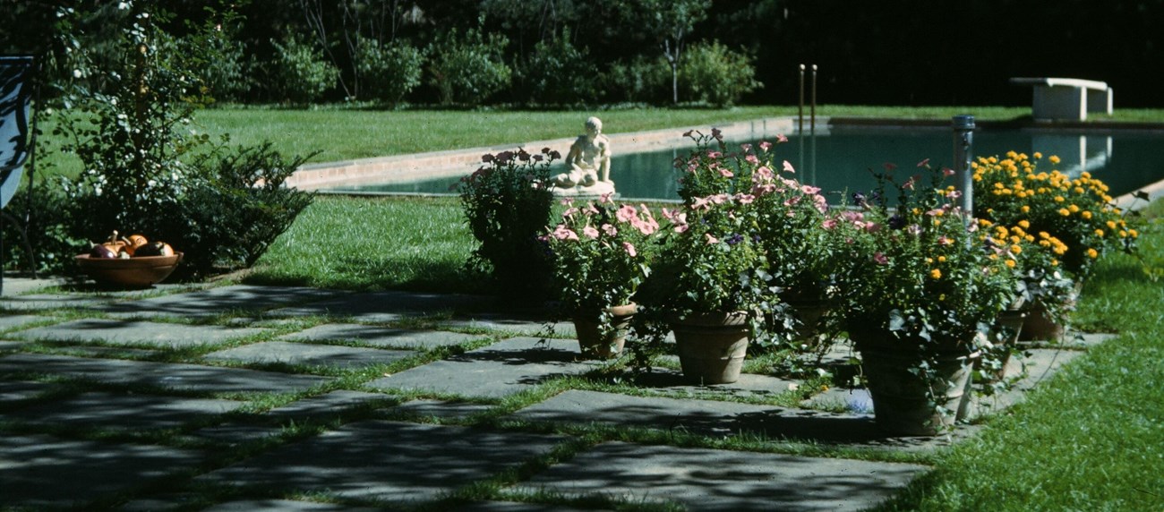 Flowers in pots grow on a patio of square pavers beside a pool with a diving board