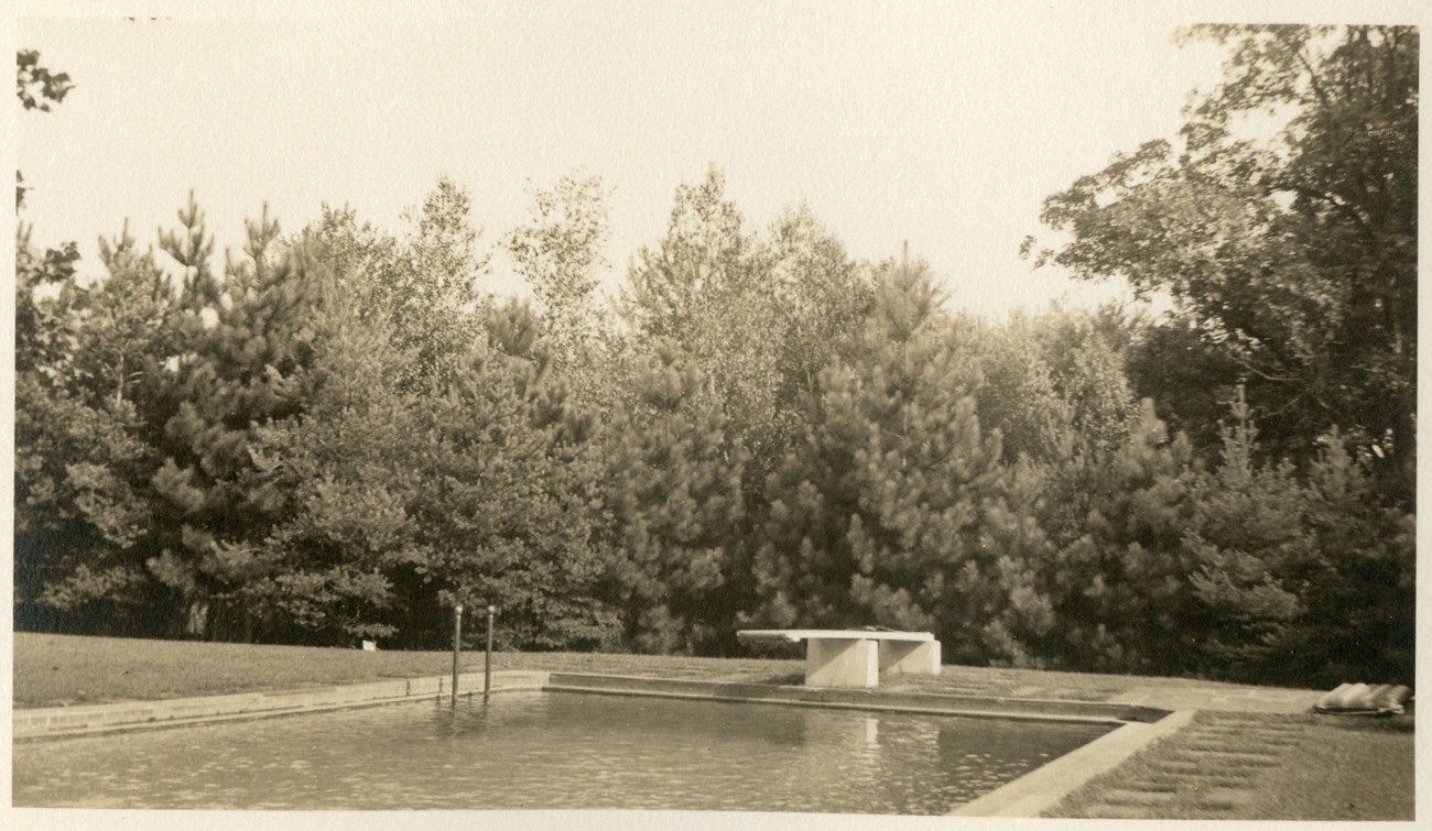 ELRO-red-pine Sepia-toned photo with a dense row of pine trees forming a screen behind a swimming pool with a diving board.