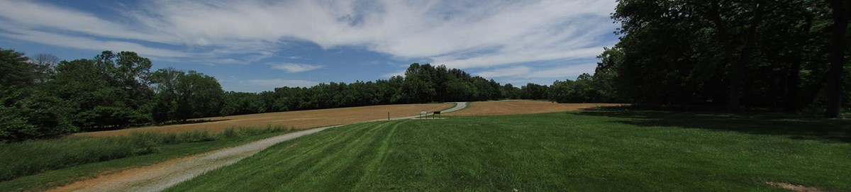 Panorama of an unpaved road through open field, framed by leafy treelines