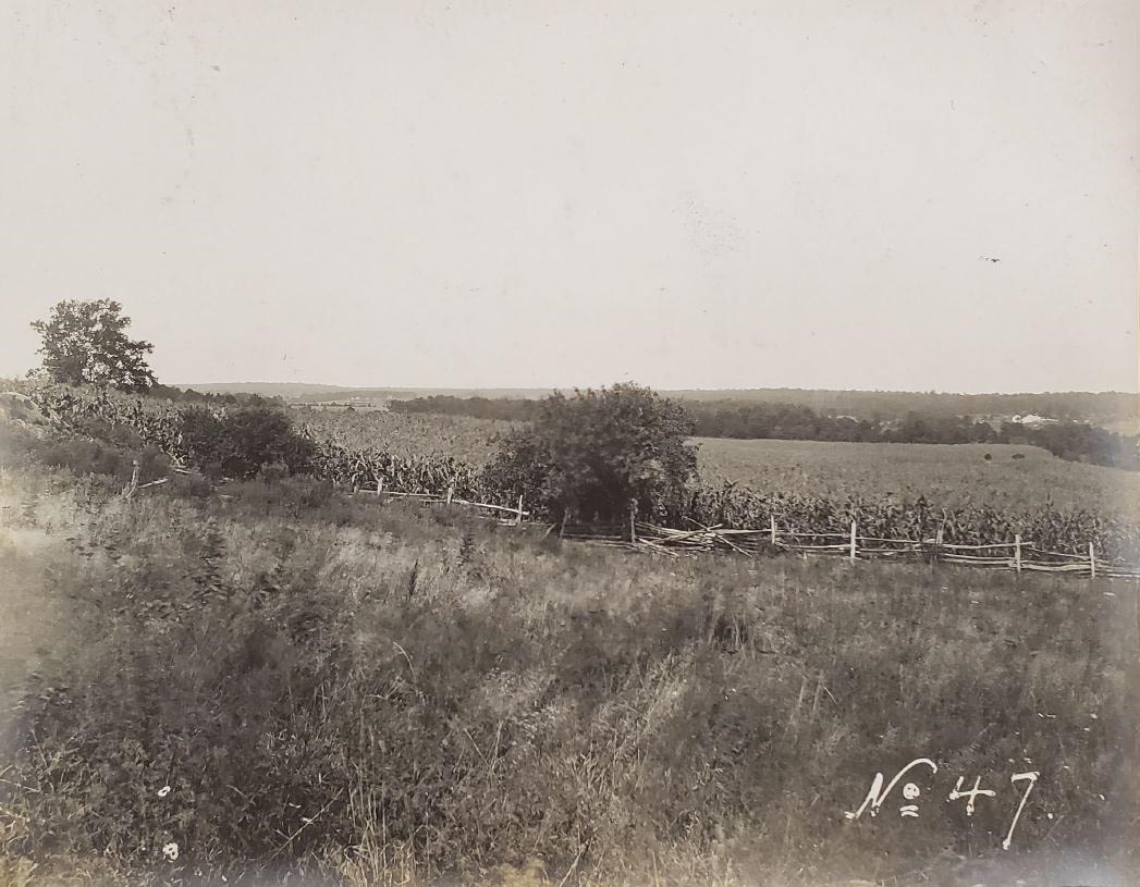 A black and white photo with a field in the foreground, a fence in the middle ground, and a row of trees in the background.