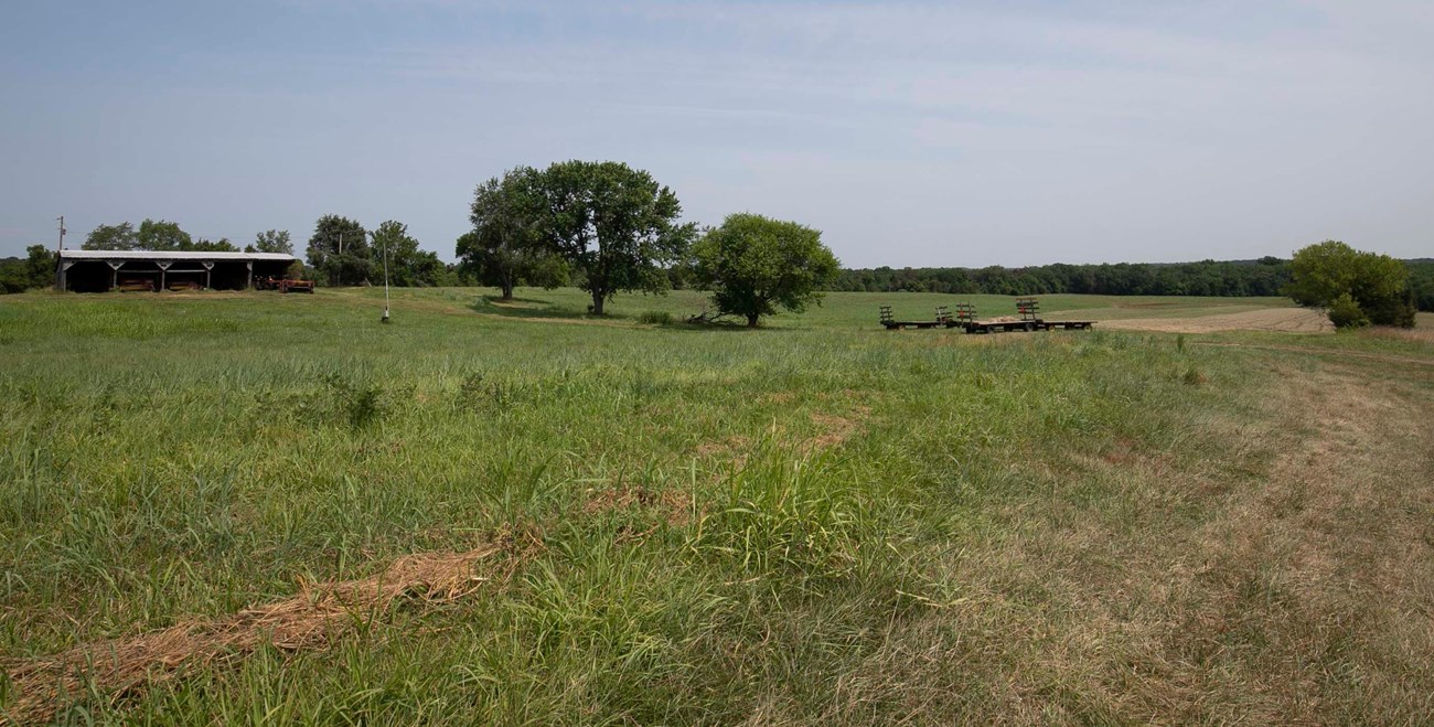 A colored photograph showing an open field with a shed and trees in the distance.