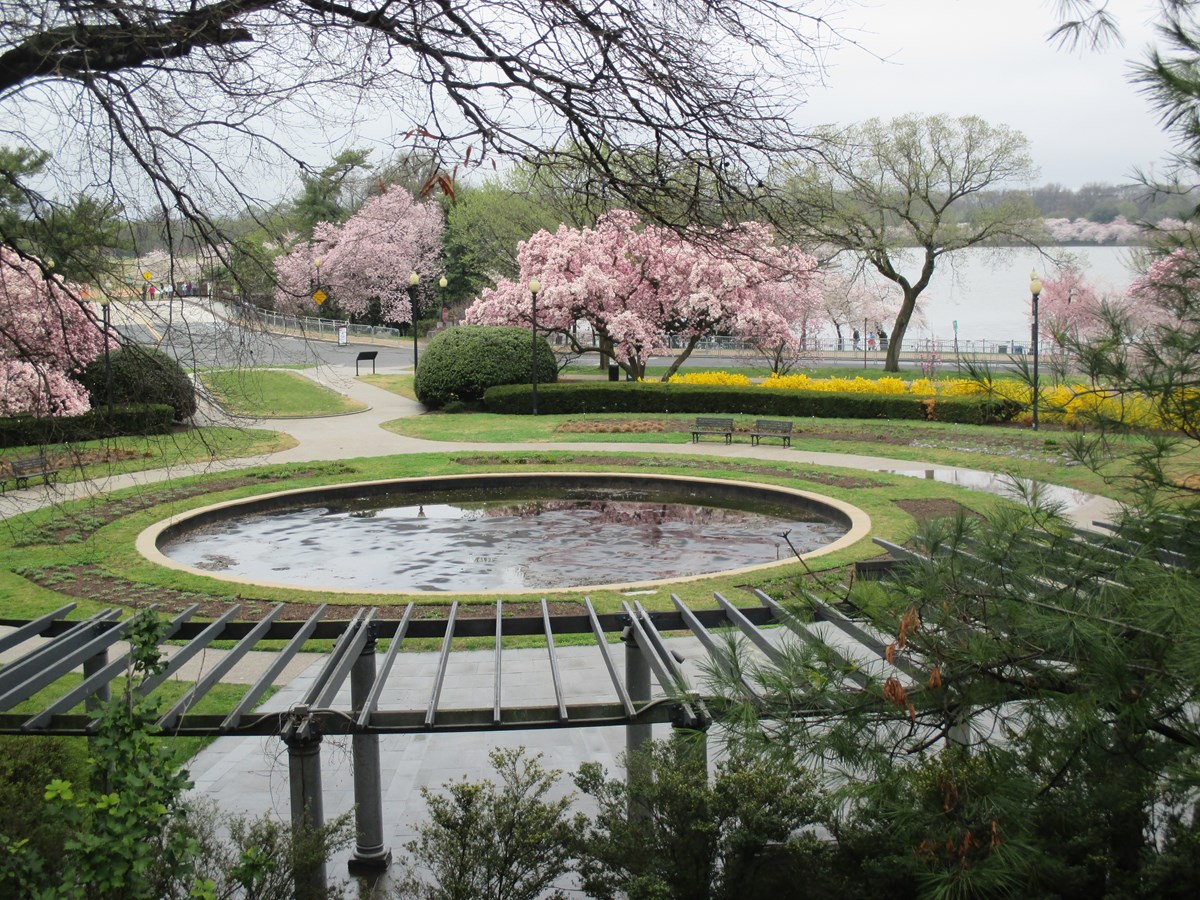 View through trees to a round fountain, ringed by garden beds, a walkway, and flowering shrubs.