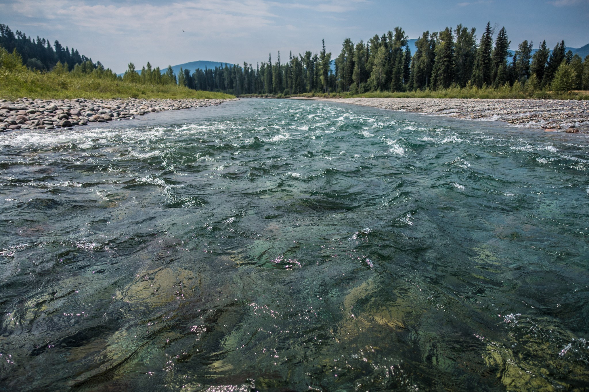 River Connections: 50 Years of Wild and Scenic Rivers (U.S. National 