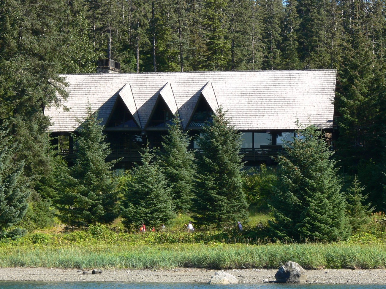 Three angular dormer windows stand out on the glacier bay lodge's shingled roof, and the chimney and dining room windows are the only details visible through spruce trees. A small group of people can be seen amongst green vegetation, walking.