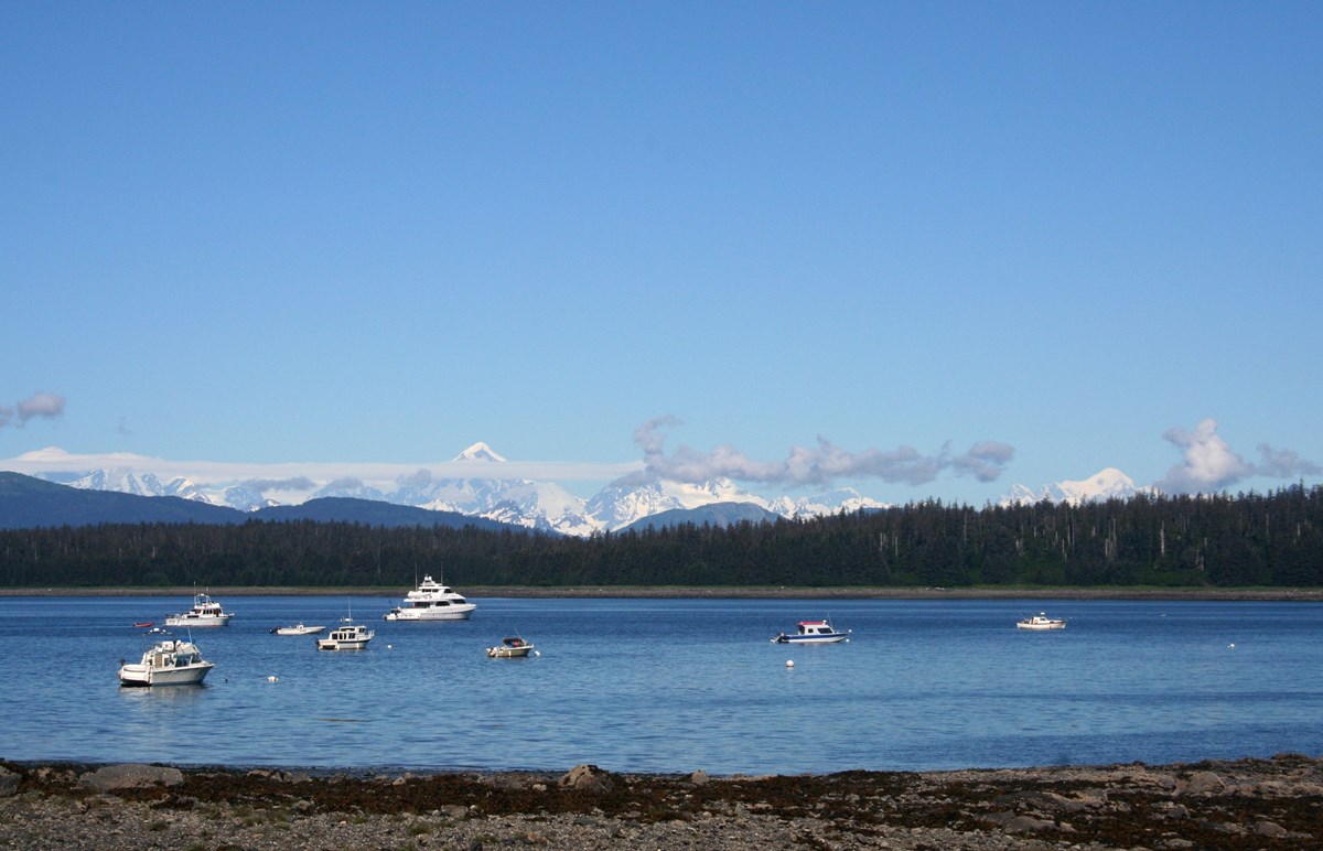 A collection of fishing boats spread across the even surface of a cove, framed by trees and snow capped mountains