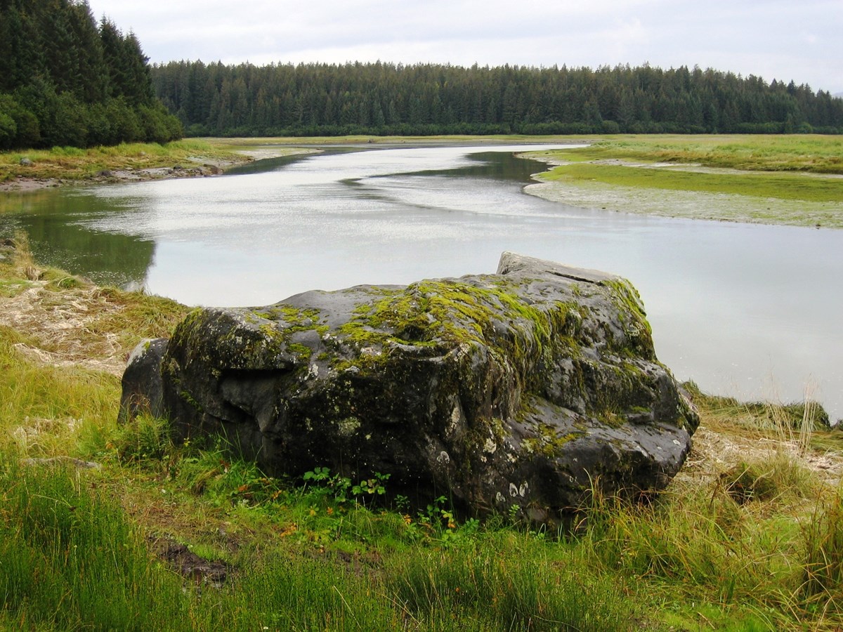 A lumpy rock with patches of moss and lichen stands in the low vegetation along a river.