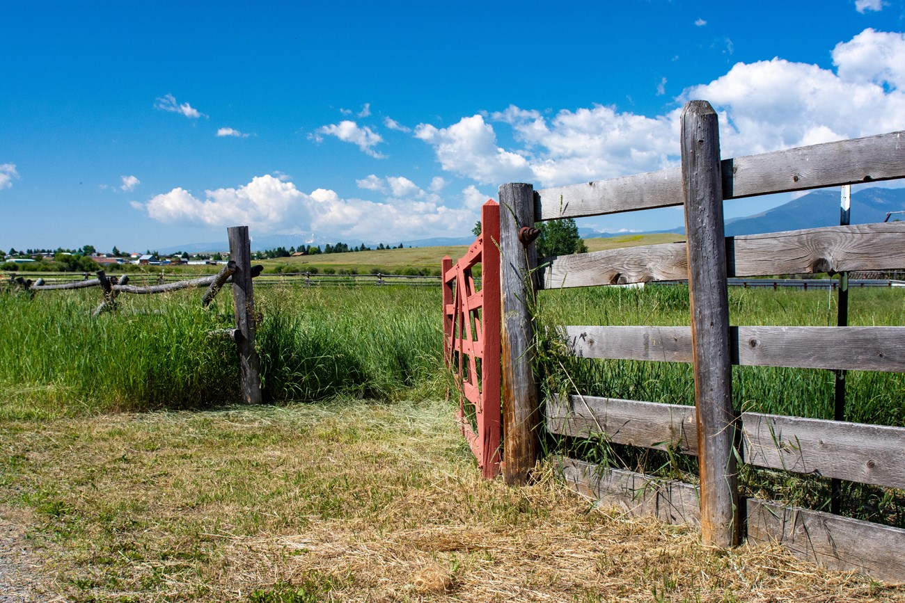 Two styles of wooden fencing meet at an open gate, leading to grassy pasture.