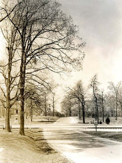 Old Battleground and New Garden Road, 1937 Old Battleground and New Garden Road 1937, a straight flat road framed by leafless trees