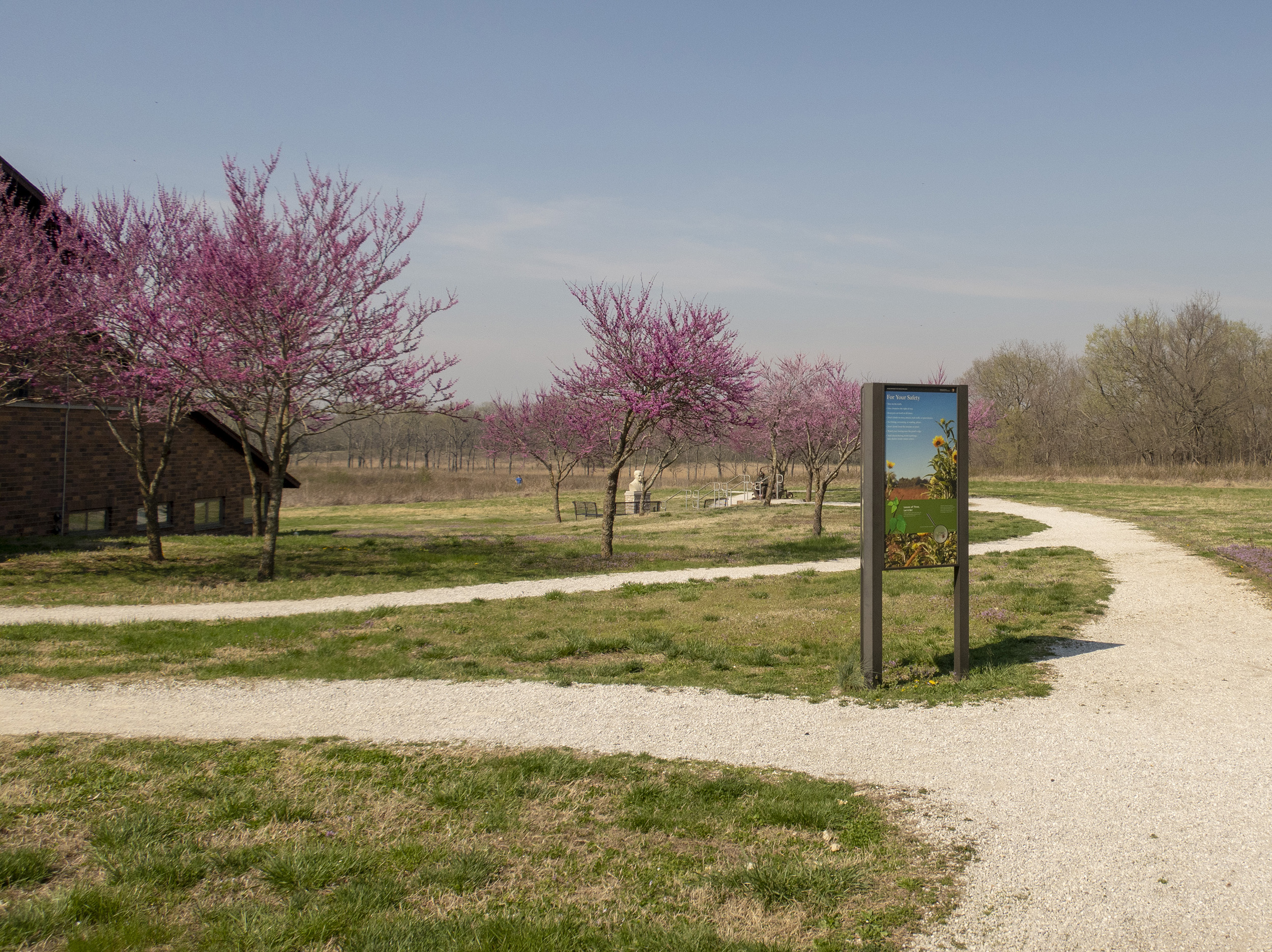 Redbuds in bloom near a trail outside the visitor center at George Washington Carver National Monument