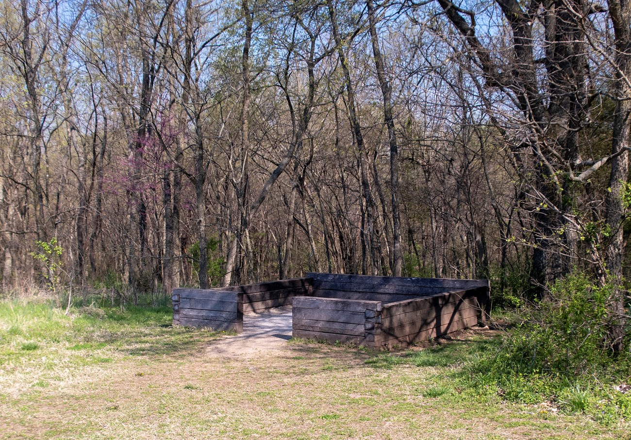 A square foundation marks the site of a cabin where a clearing meeting wooded area