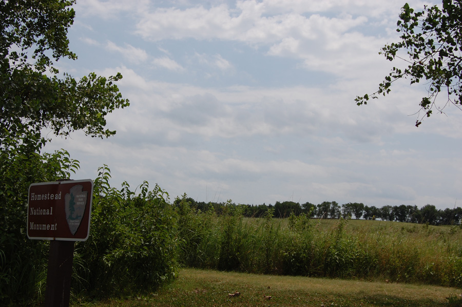 HOME Osage Orange A row of trees grows on the horizon, seen across a prairie