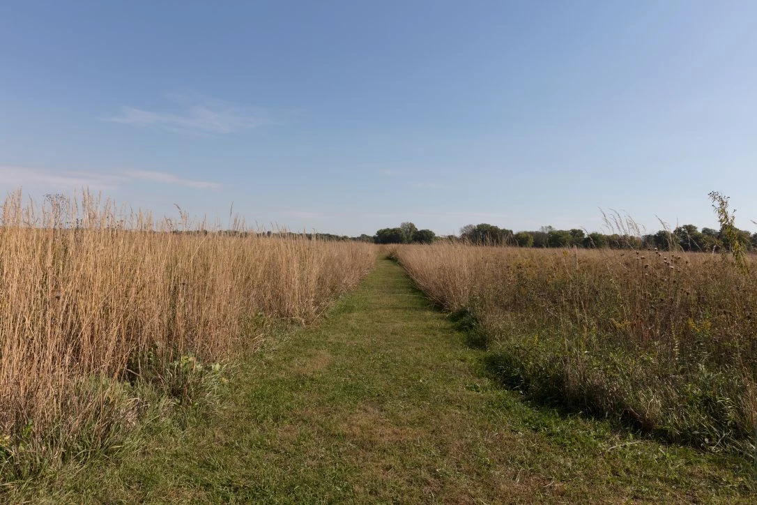 HUFFMAN FIELD PRAIRIE Path cut through tall prairie grass in a level field