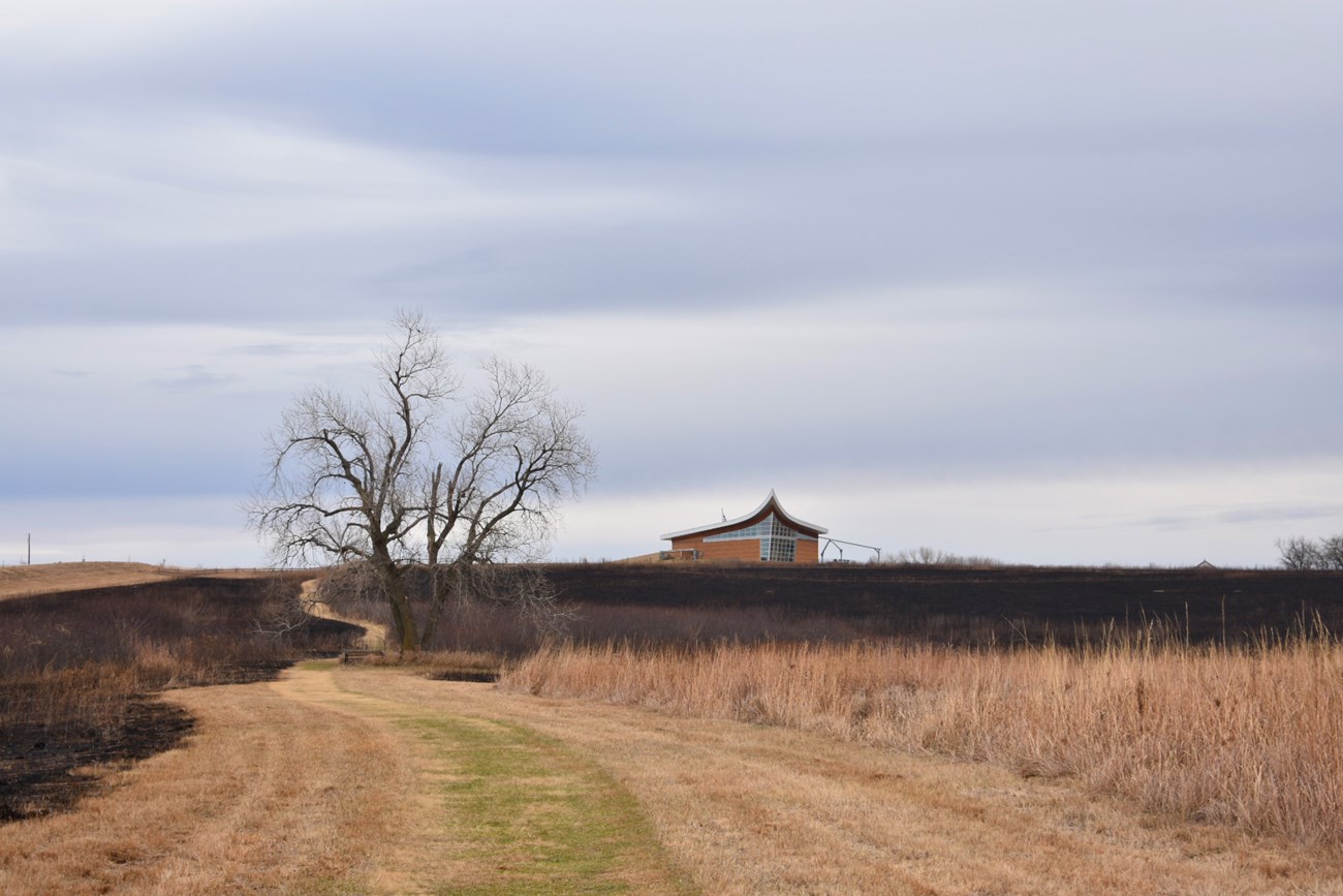 A view of the Heritage Center building rising over the prairie, with some grass mowed and some darkened by burning