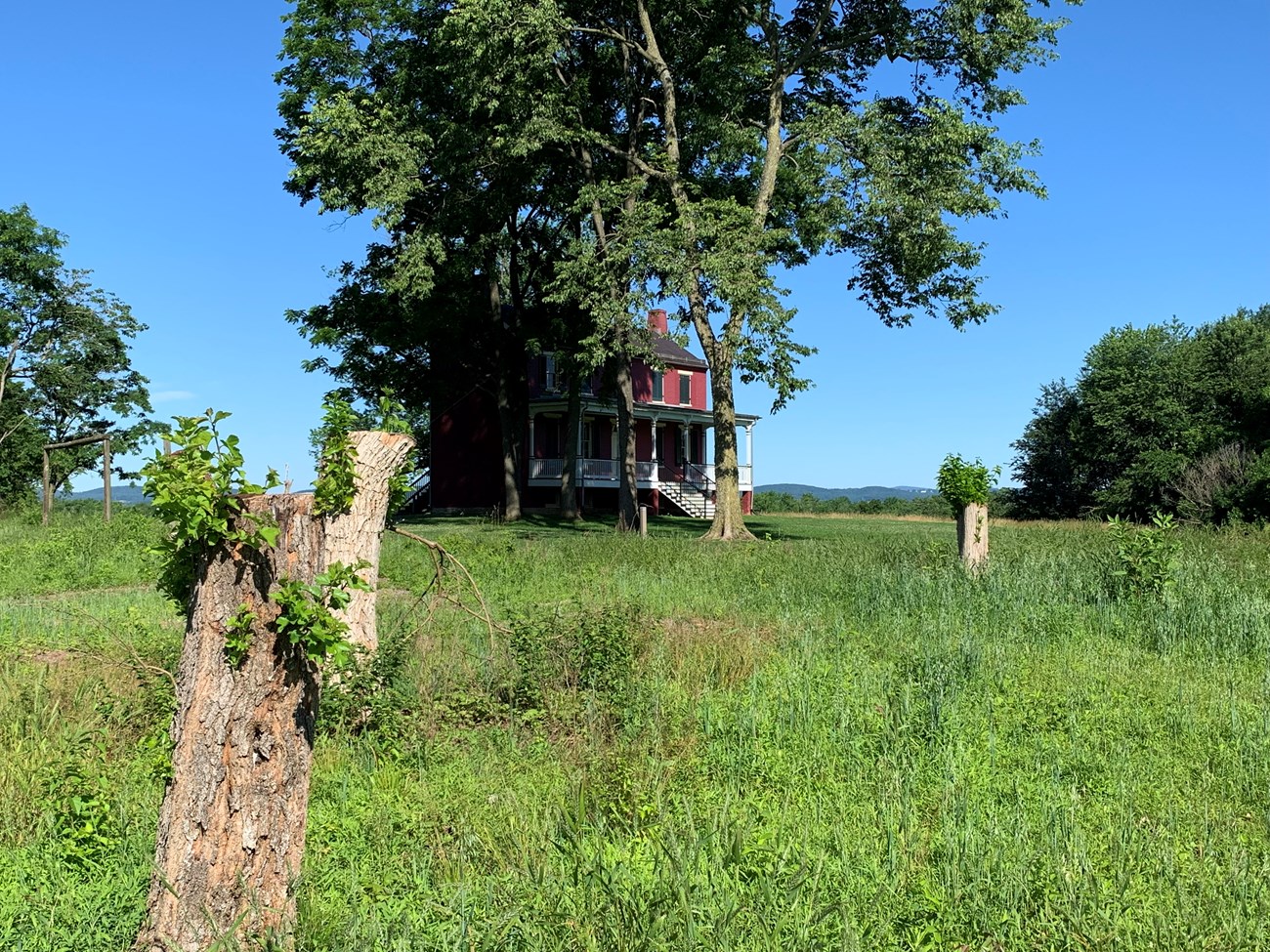 Upstate New York Old Farm Building with Background of Tall Trees