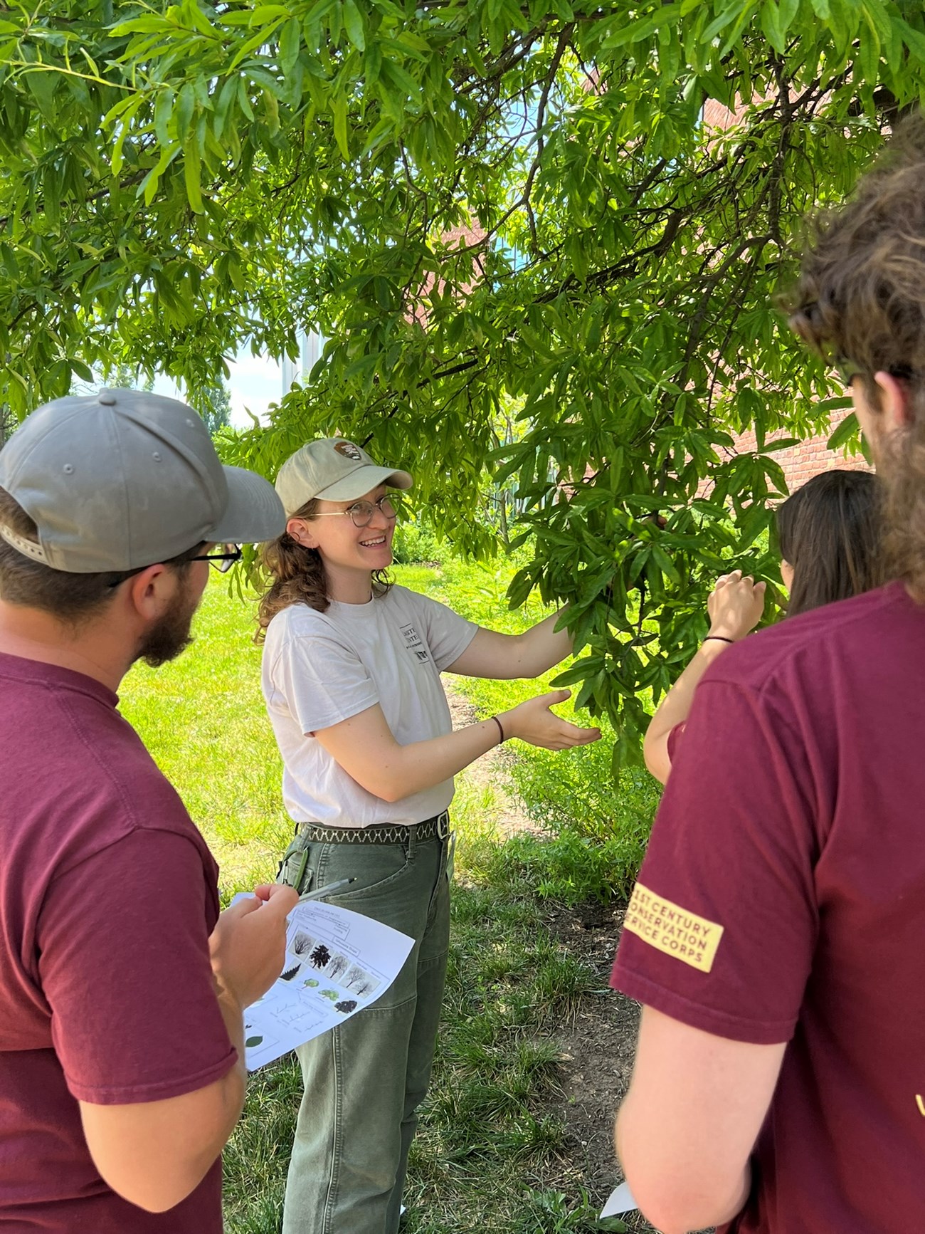 An instructor stands beside a leafy tree and holds a branch for three interns to observe