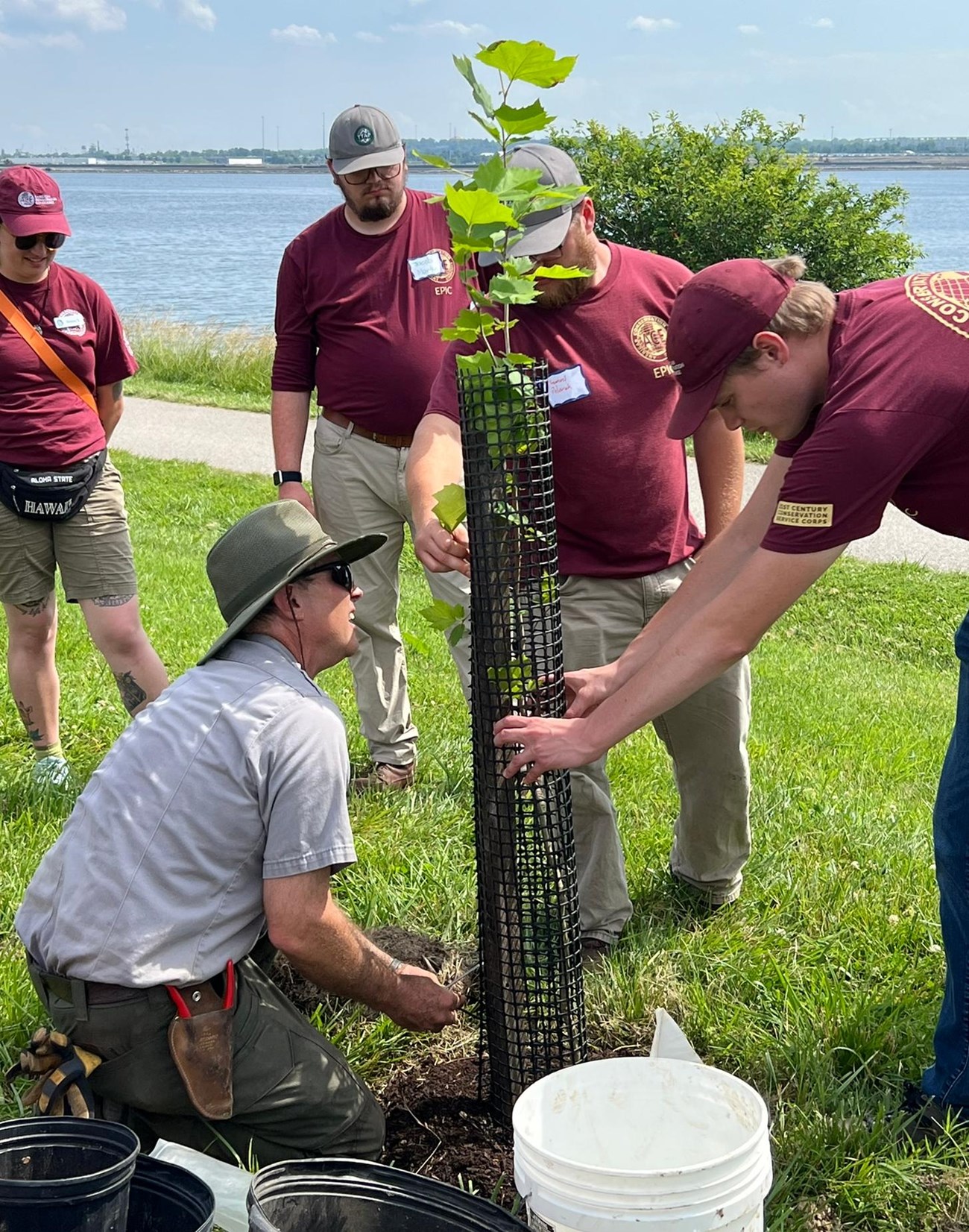 A group of young people with an NPS employee to plant a slender tree in a grassy area, holding a mesh cage in place to attach it to the stake.