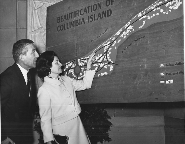 Lady Bird Johnson and Sec of Interior Steward Udall in 1968 Lady Bird Johnson and Stewart Udall view a sign with a schematic planting plan, showing roads and plantings for Columbia Island.