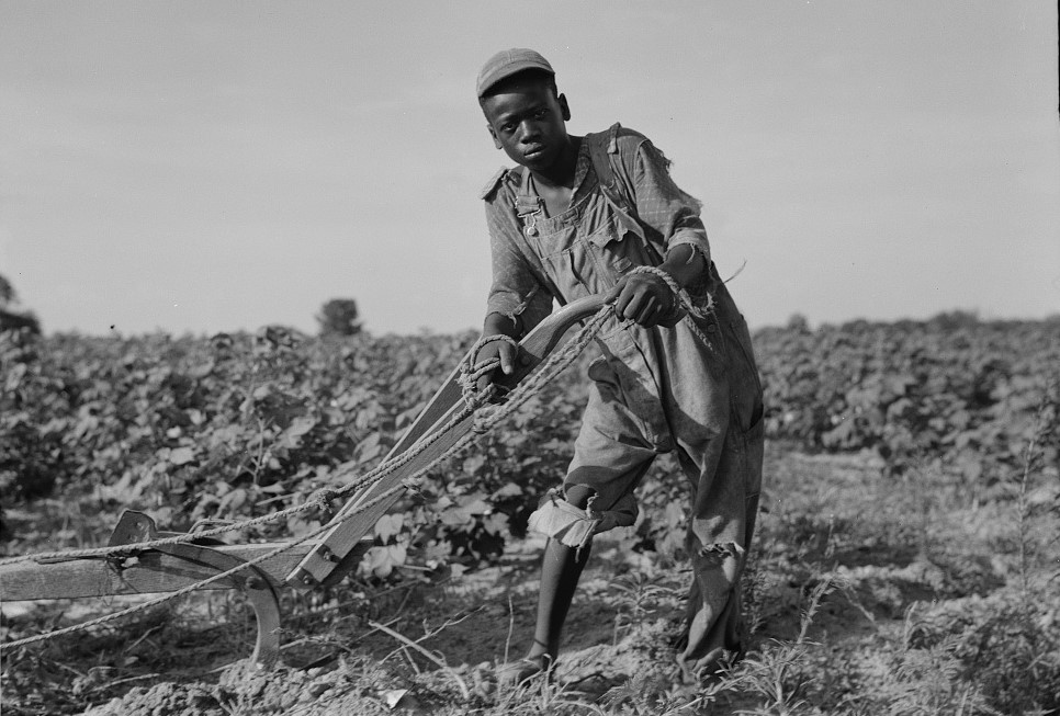 A young African American man stands beside a plow in a field, 1937.
