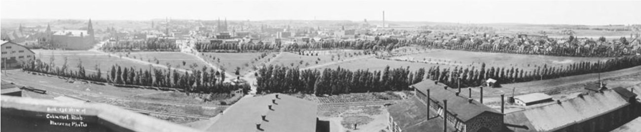 High-angle view of designed park, with tree-lined pathways radiating across turf and a line of trees forming a boundary