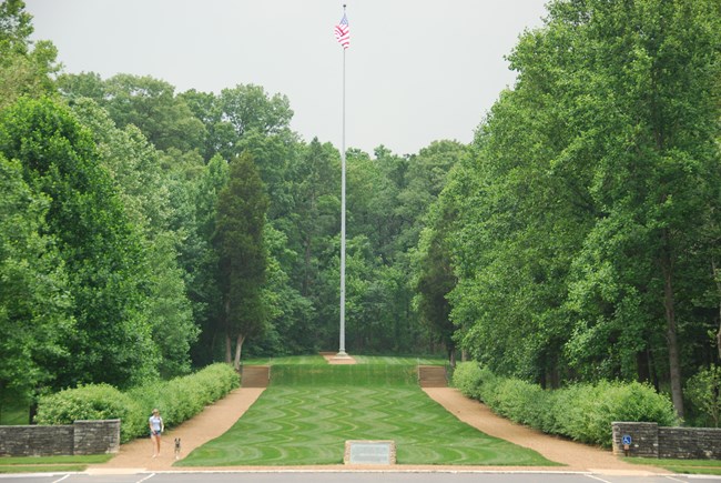 Allee and flagpole at LIBO A tall flagpole stands at the end of a neat stretch of turf, lined on each side by rows of leafy trees.