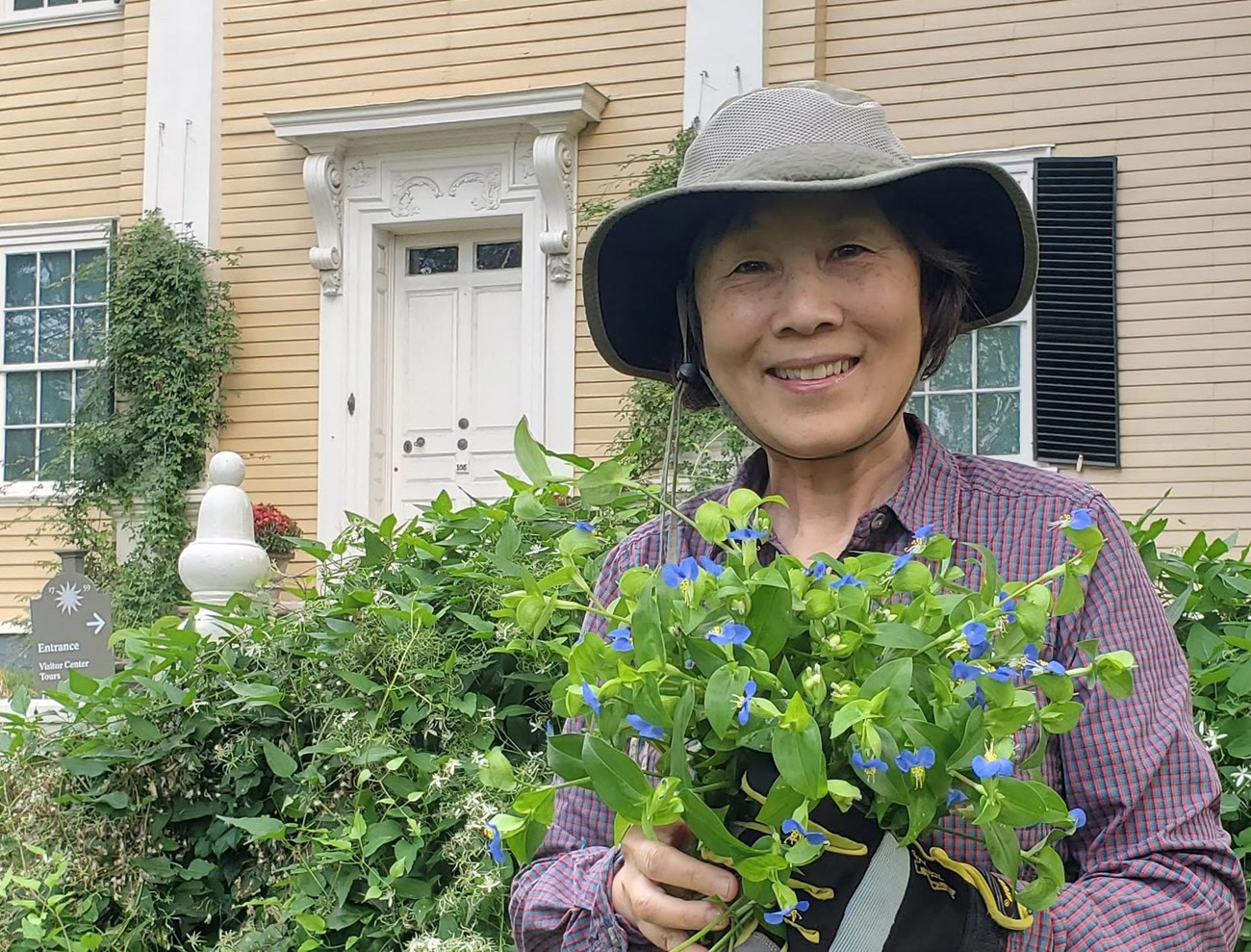 A volunteer in a sun hat and gardening clothes holds a plant, standing in a garden in front of a brick house.