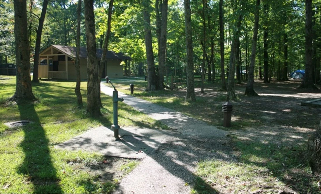 Campground character area Concrete paths connect comfort stations and campsites in an area shaded by leafy trees