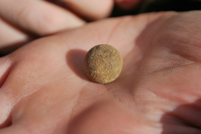 A small, worn musket ball held in the palm of a hand.
