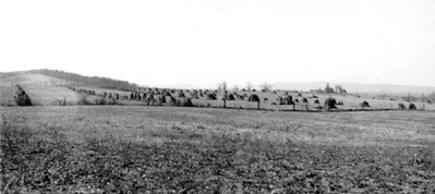 View across open, rolling fields, dotted with scattered trees