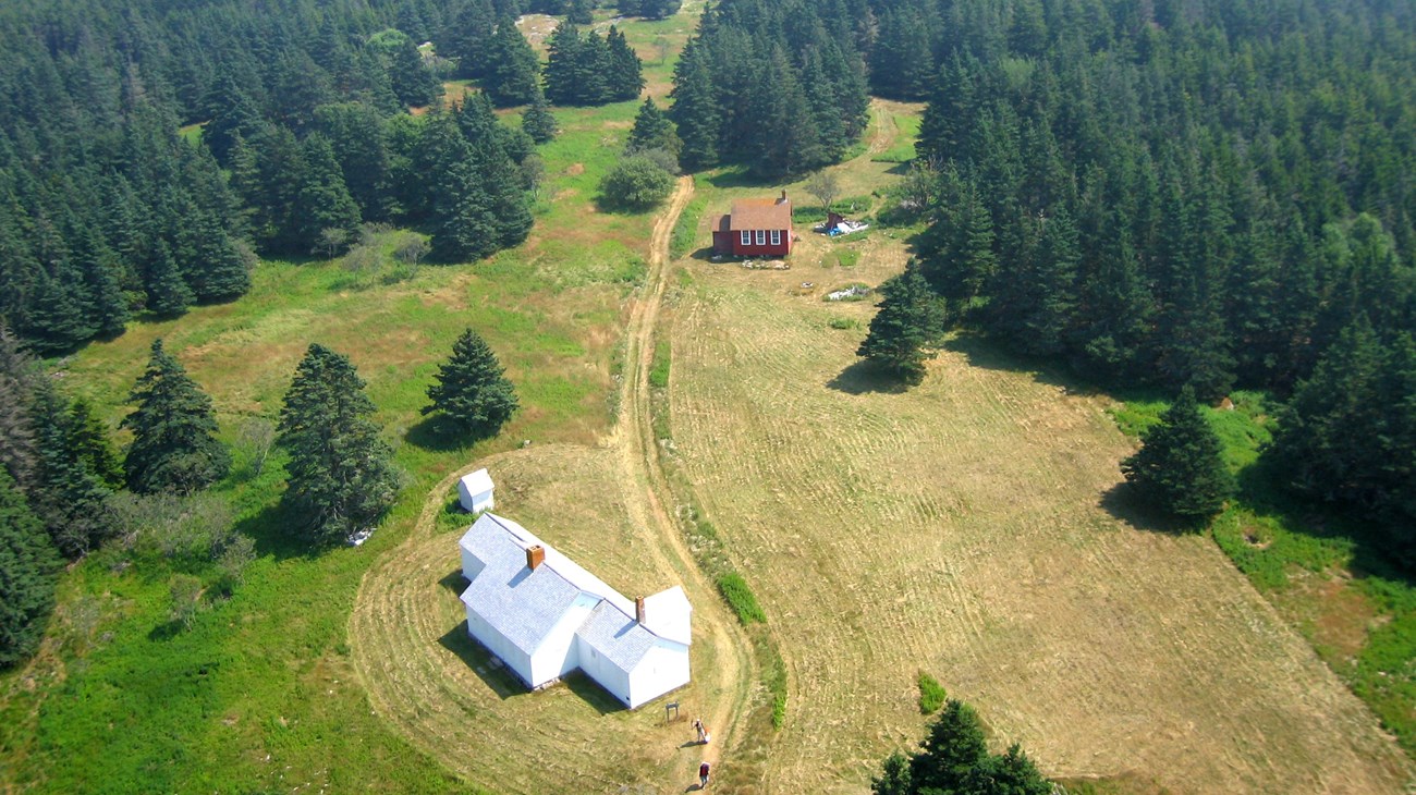 Aerial of rural landscape, with mowed grass around several structures, an unpaved drive, and clearings and pine trees.