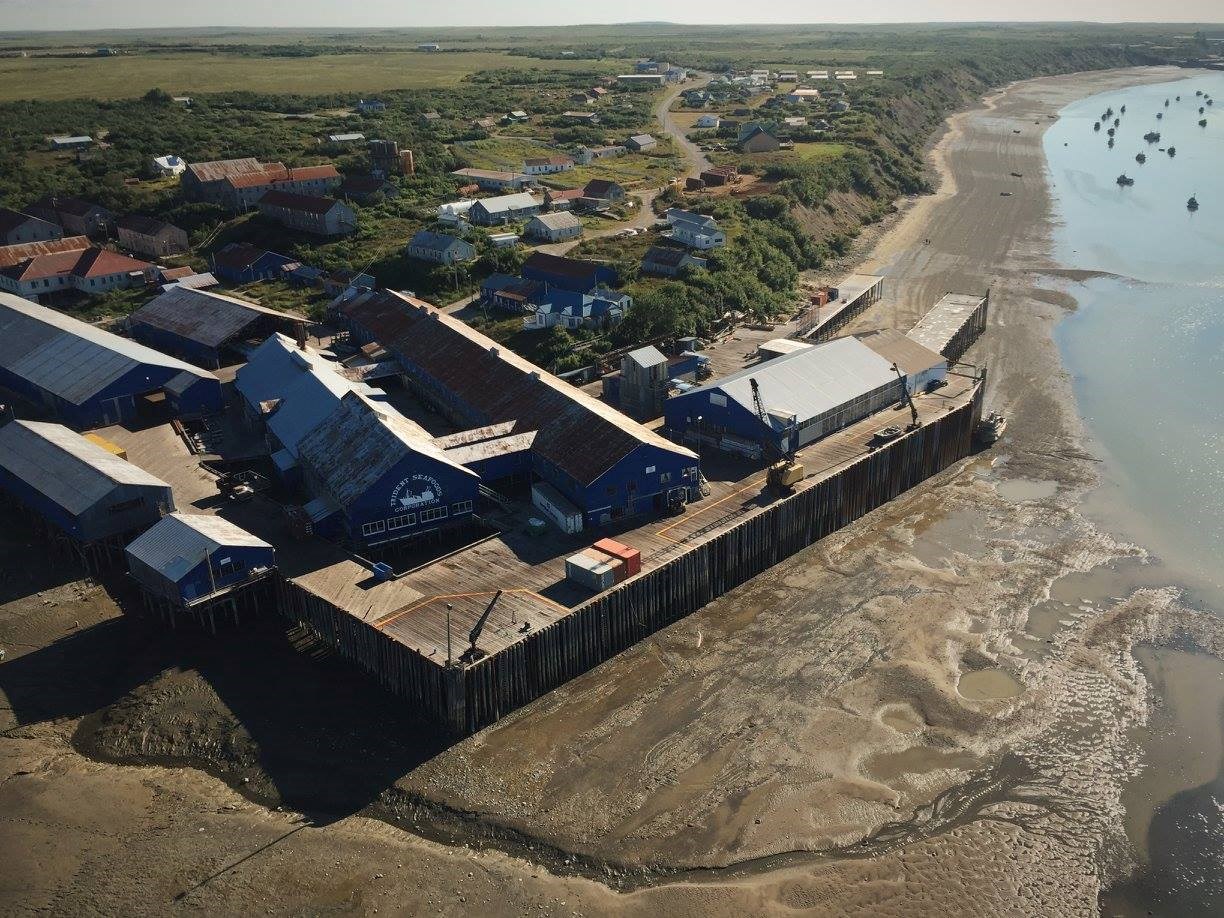 Aerial view of NN Cannery shows arrangement of structures along a muddy shoreline, with small houses surrounding a core of warehouse buildings